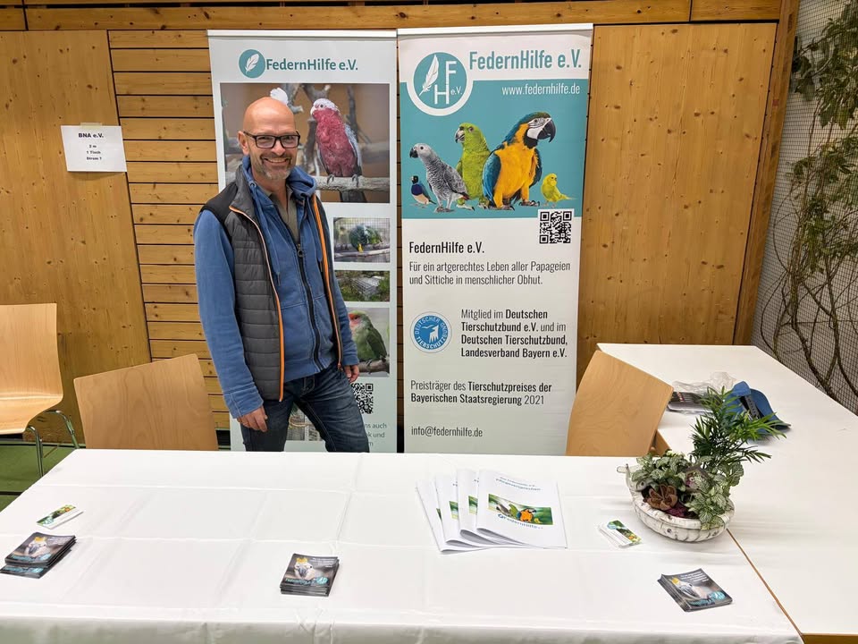 Wir sind startklar! Unser Stand auf der Papageienmesse der Vogelfreunde Achern steht! Am 31.10. und...